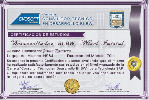 Certificaci�n de estudios en Carrera Consultor SAP BI / BW BO Nivel Inicial