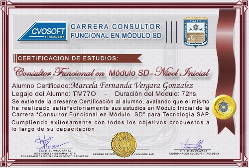 Certificación de estudios en Carrera Consultor SAP SD Nivel Inicial