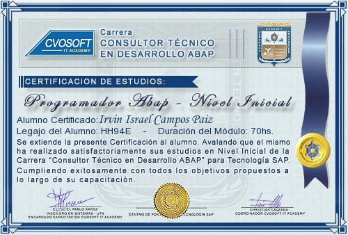 Certificaci�n de estudios en Carrera Consultor ABAP Nivel Inicial