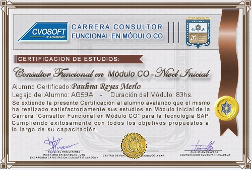 Certificación de estudios en Carrera Consultor SAP CO Nivel Inicial