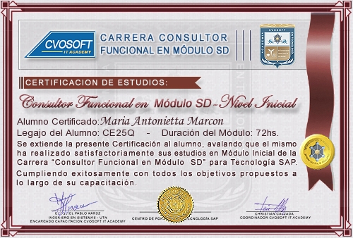 Certificaci�n de estudios en Carrera Consultor SAP SD Nivel Inicial