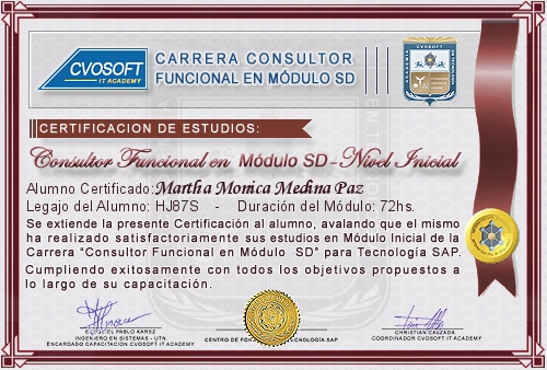 Certificaci�n de estudios en Carrera Consultor SAP SD Nivel Inicial