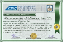 Certificación en Curso Introducción SAP