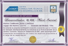 Certificación en Carrera Consultor SAP BI / BW BO Nivel Inicial