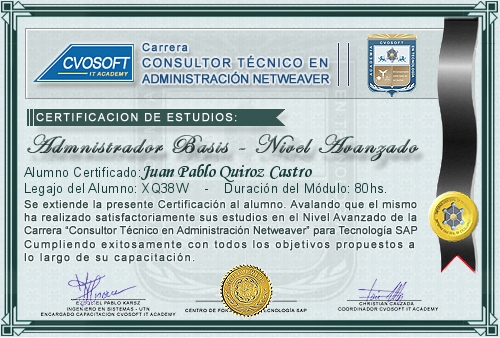 Certificación de estudios en Carrera Consultor SAP BASIS NetWeaver Nivel Avanzado