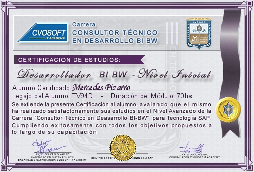 Certificaci�n de estudios en Carrera Consultor SAP BI / BW BO Nivel Inicial