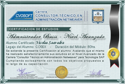 Certificación de estudios en Carrera Consultor SAP BASIS NetWeaver Nivel Avanzado