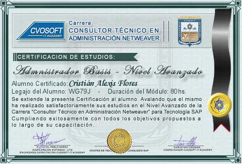 Certificación de estudios en Carrera Consultor SAP BASIS NetWeaver Nivel Avanzado