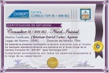 Certificación en Carrera Consultor SAP BI / BW BO Nivel Inicial