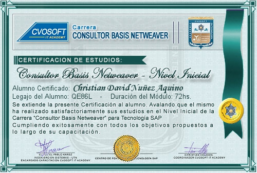 Certificaci�n de estudios en Carrera Consultor SAP BASIS NetWeaver Nivel Inicial