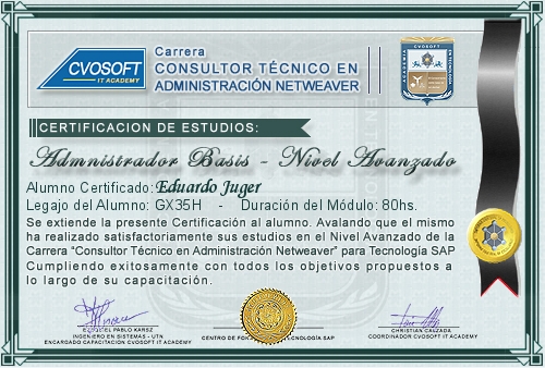 Certificación de estudios en Carrera Consultor SAP BASIS NetWeaver Nivel Avanzado