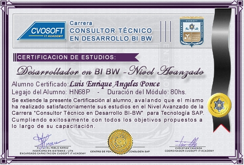 Certificación de estudios en Carrera Consultor SAP BI / BW BO Nivel Avanzado