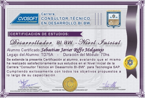 Certificaci�n de estudios en Carrera Consultor SAP BI / BW BO Nivel Inicial
