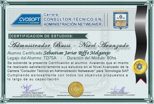 Certificaci�n de estudios en Carrera Consultor SAP BASIS NetWeaver Nivel Avanzado