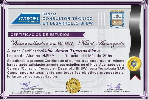 Certificaci�n de estudios en Carrera Consultor SAP BI / BW BO Nivel Avanzado