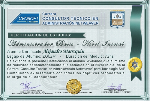 Certificaci�n de estudios en Carrera Consultor SAP BASIS NetWeaver Nivel Inicial