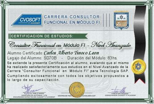Certificaci�n de estudios en Carrera Consultor SAP FI Nivel Avanzado