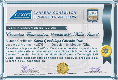 Certificaci�n de estudios en Carrera Consultor SAP MM Nivel Inicial