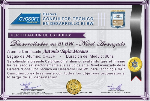 Certificación de estudios en Carrera Consultor SAP BI / BW BO Nivel Avanzado