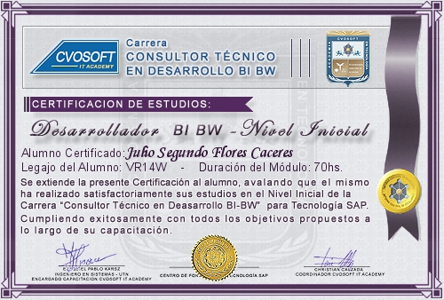 Certificación de estudios en Carrera Consultor SAP BI / BW BO Nivel Inicial