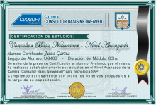 Certificación en Carrera Consultor SAP BASIS NetWeaver Nivel Avanzado