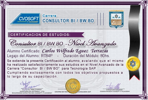 Certificación de estudios en Carrera Consultor SAP BI / BW BO Nivel Avanzado