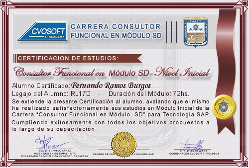 Certificación de estudios en Consultor Funcional Módulo SD Nivel Inicial