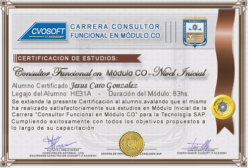 Certificación de estudios en Consultor Funcional Módulo CO Nivel Inicial