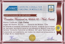 Certificación en Carrera Consultor SAP SD Nivel Inicial