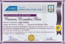 Certificación en Carrera Consultor SAP BTP Fiori