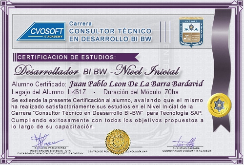 Certificación de estudios en Carrera Consultor SAP BI / BW BO Nivel Inicial