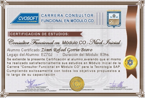 Certificación de estudios en Consultor Funcional Módulo CO Nivel Inicial