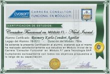Certificación en Carrera Consultor SAP FI Nivel Inicial