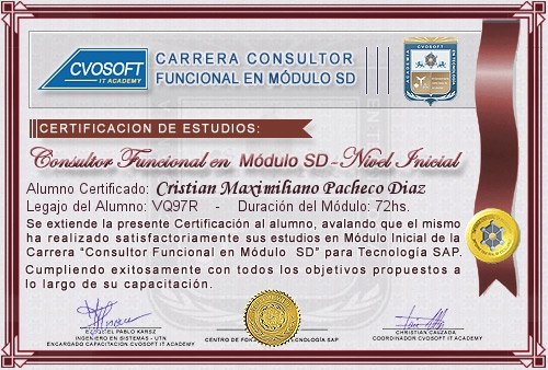 Certificaci�n de estudios en Carrera Consultor SAP SD Nivel Inicial