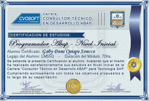 Certificación de estudios en Carrera Consultor ABAP Nivel Inicial