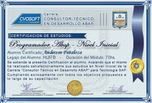 Certificaci�n de estudios en Carrera Consultor ABAP Nivel Inicial