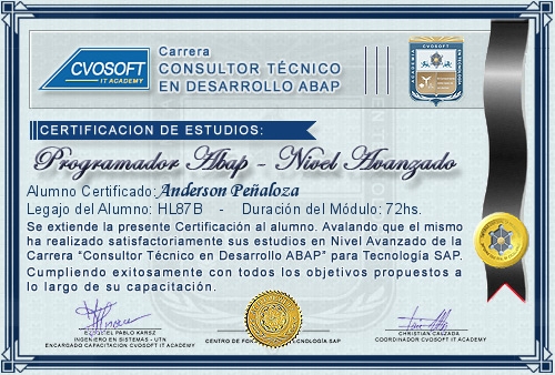 Certificaci�n de estudios en Carrera Consultor ABAP Nivel Avanzado