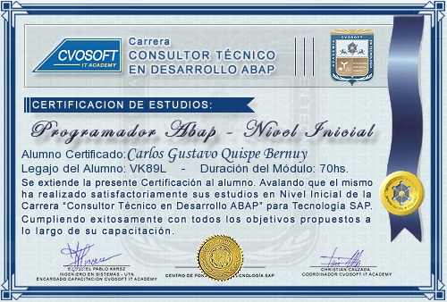 Certificaci�n de estudios en Carrera Consultor ABAP Nivel Inicial