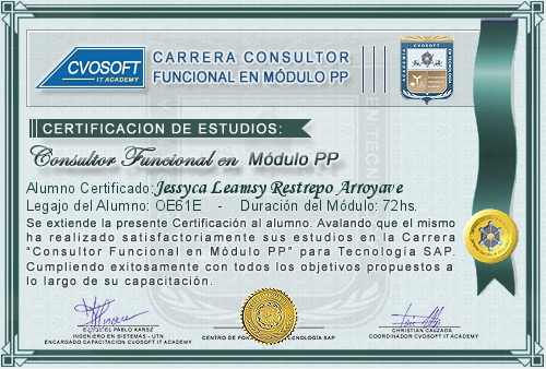 Certificaci�n de estudios en Carrera Consultor SAP PP