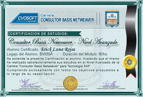 Certificación de estudios en Carrera Consultor SAP BASIS NetWeaver Nivel Avanzado