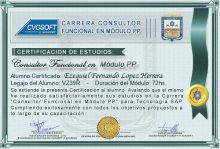 Certificación en Carrera Consultor SAP PP