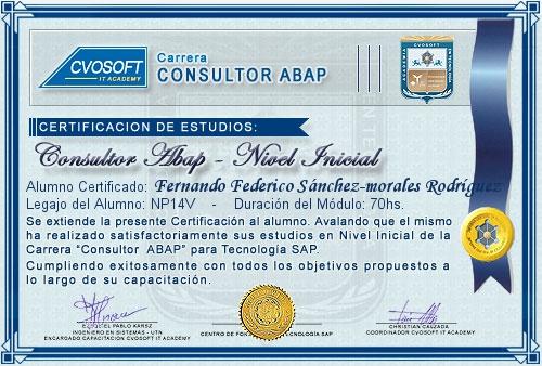 Certificacin de estudios en Consultor ABAP Nivel Inicial