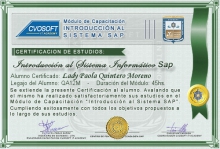 Certificación en Curso Introducción SAP