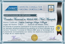 Certificación en Carrera Consultor SAP MM Nivel Avanzado
