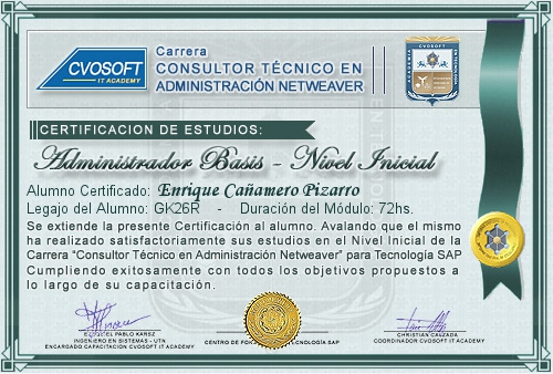 Certificación de estudios en Carrera Consultor SAP BASIS NetWeaver Nivel Inicial