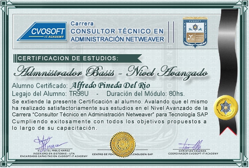 Certificaci�n de estudios en Carrera Consultor SAP BASIS NetWeaver Nivel Avanzado