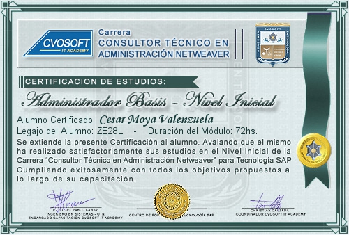 Certificación de estudios en Carrera Consultor SAP BASIS NetWeaver Nivel Inicial