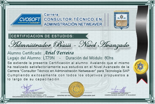 Certificación de estudios en Carrera Consultor SAP BASIS NetWeaver Nivel Avanzado