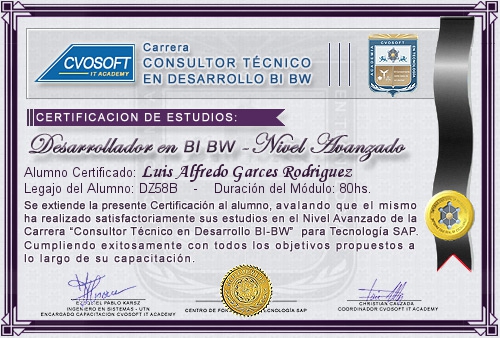 Certificación de estudios en Carrera Consultor SAP BI / BW BO Nivel Avanzado