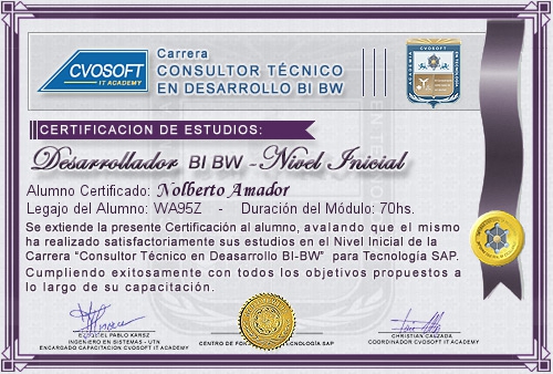 Certificación de estudios en Carrera Consultor SAP BI / BW BO Nivel Inicial